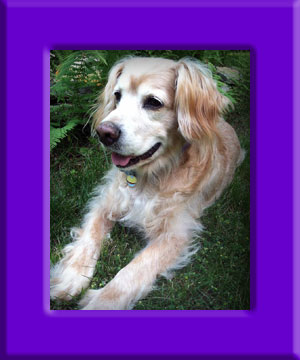 Bailey's Memorial