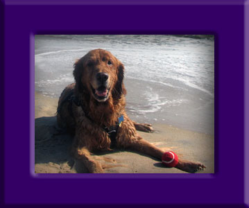 Bailey's Memorial