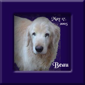 Beau's Memorial May 17, 2005
