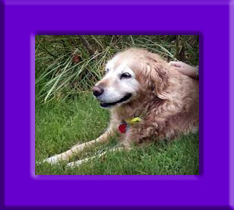 Bella's Memorial