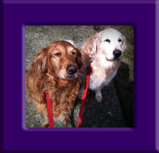 Shelby and Brady's Memorial