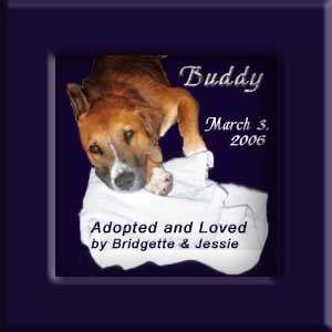 Buddy's Memorial March 3, 2006
