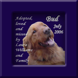 Bud's Memorial July 2006