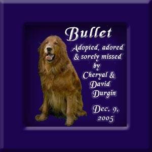 Bullet's Memorial December 9, 2005