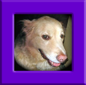Casper's Memorial