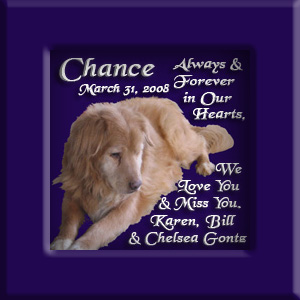 Chance's Memorial March 31, 2008