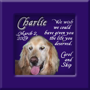 Charlie's Memorial March 2, 2009