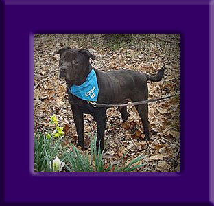 Chino's Memorial
