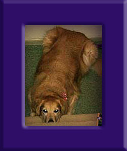 Darby's Memorial