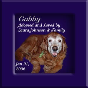 Gabby's Memorial January 21, 2006