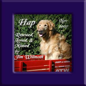 Hap Bear's Memorial November 2007