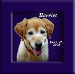 Harriet's Memorial June 26, 2005