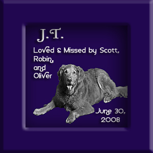 JT's Memorial June 30, 2008