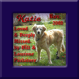 Katie' Memorial November 2008