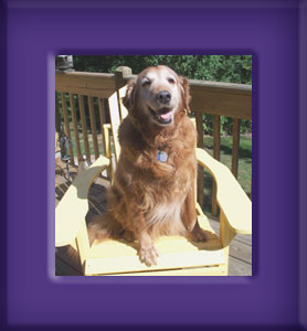 Libby's Memorial