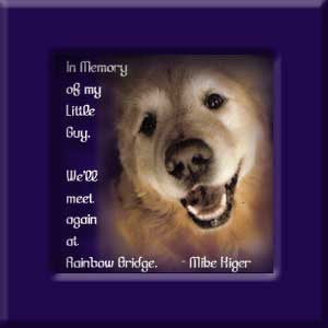 Little Guy's Memorial 2005