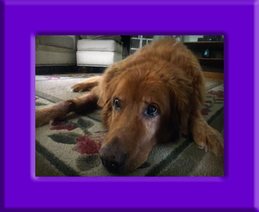 Max's Memorial