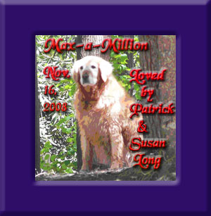 Max's Memorial November 16, 2008