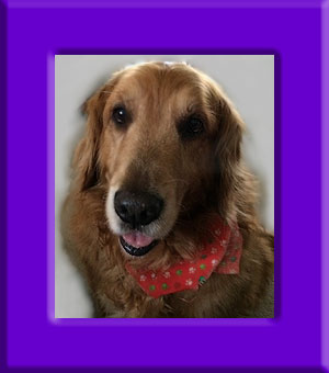 Riley Bear's Memorial