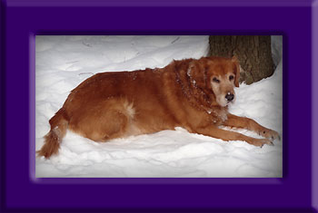 Rosie's Memorial