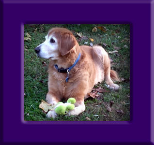 Ruffie's Memorial