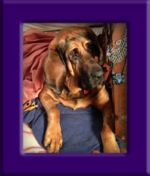 Sadie's Memorial