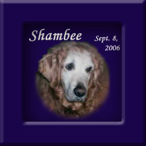 Shambee's Memorial September 8, 2006