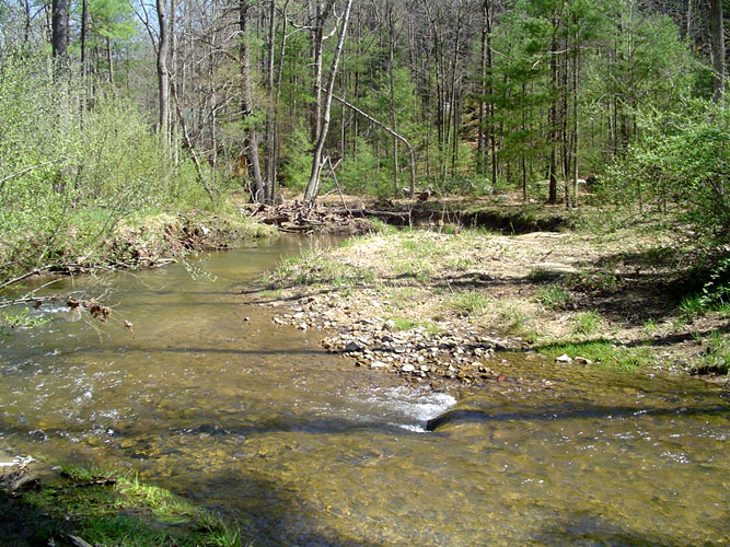 Almost Heaven Stream